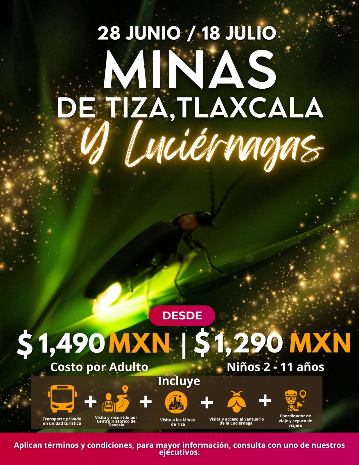 Minas de Tiza y Luciérnagas
