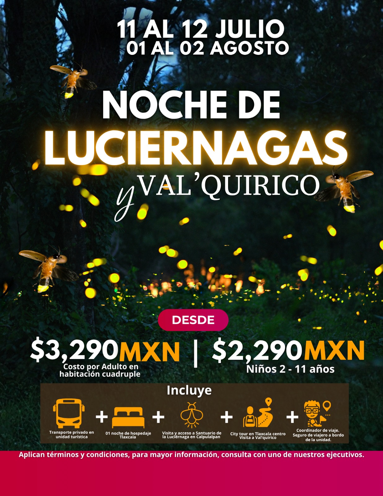 Noche de luciérnagas
